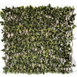 Siepe Artificiale Pitosforo, Grigliato Estensibile UVR 100x200 Cm, 120 Led Ad Energia Solare