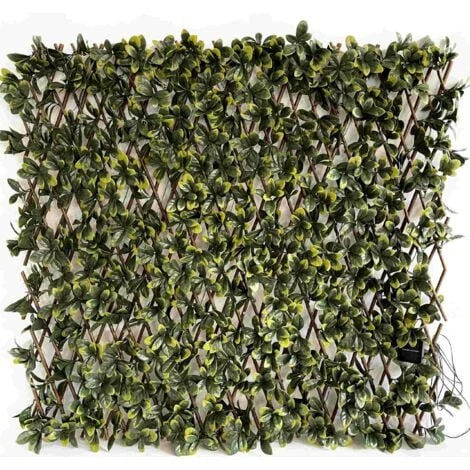 Siepe Artificiale Pitosforo, Grigliato Estensibile UVR 100x200 Cm, 120 Led Ad Energia Solare 1 Siepe Artificiale Pitosforo, Grigliato Estensibile UVR 100x200 Cm, 120 Led Ad Energia Solare