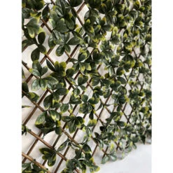 Siepe Artificiale Pitosforo, Grigliato Estensibile UVR 100x200 Cm, 120 Led Ad Energia Solare 7 Siepe Artificiale Pitosforo, Grigliato Estensibile UVR 100x200 Cm, 120 Led Ad Energia Solare -Vendite ATMOSPHERA 100275011 3