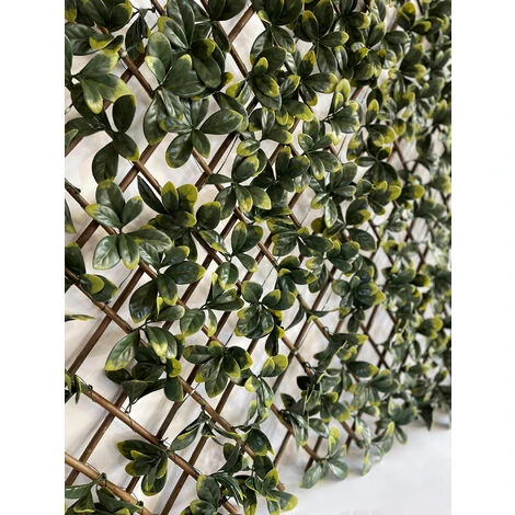 Siepe Artificiale Pitosforo, Grigliato Estensibile UVR 100x200 Cm, 120 Led Ad Energia Solare 3 Siepe Artificiale Pitosforo, Grigliato Estensibile UVR 100x200 Cm, 120 Led Ad Energia Solare - immagine 3