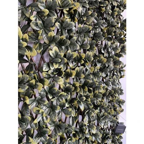 Siepe Artificiale Pitosforo, Grigliato Estensibile UVR 100x200 Cm, 120 Led Ad Energia Solare 5 Siepe Artificiale Pitosforo, Grigliato Estensibile UVR 100x200 Cm, 120 Led Ad Energia Solare - immagine 5