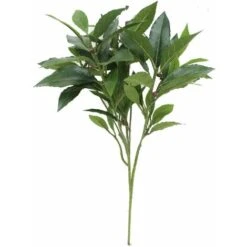 Alloro, Ramo Con 74 Foglie Verdi