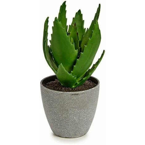 Pianta Decorativa Aloe Vera 14 X 21 X 14 Cm Grigio Verde Plastica (6 Unità) 2 Pianta Decorativa Aloe Vera 14 X 21 X 14 Cm Grigio Verde Plastica (6 Unità) - immagine 2