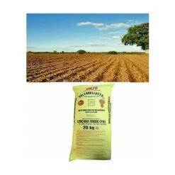 Zolfo Correttivo 93 Giallo Uso Agricolo Verdura Agricoltura Biologico Kg 25 -Vendite ATMOSPHERA 13192522 4