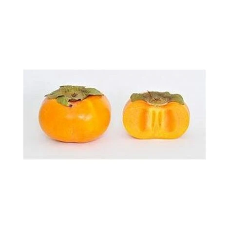 Pianta Di Kaki Mela Vaso 24cm 2 Pianta Di Kaki Mela Vaso 24cm - immagine 2