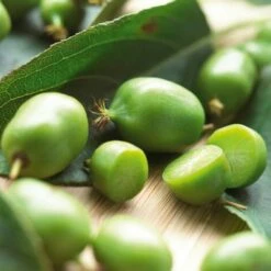 Vendite ATMOSPHERA -Vendite ATMOSPHERA 18403274 2