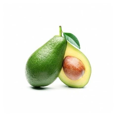 PIANTA PERSEA AMERICANA PIANTA DI AVOCADO FUERTE INNESTATA H 100CM 1 PIANTA PERSEA AMERICANA PIANTA DI AVOCADO FUERTE INNESTATA H 100CM