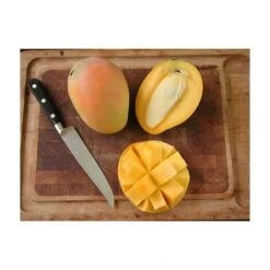 PIANTA DI MANGIFERA INDICA MANGO GLENN INNESTATA FOTO REALI H 140CM 7 PIANTA DI MANGIFERA INDICA MANGO GLENN INNESTATA FOTO REALI H 140CM -Vendite ATMOSPHERA 18734230 4