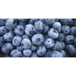 Mirtillo Gigante Americano Frutti Di Bosco Pianta Gia' Fruttifera In Vaso 11 Cm Non Specificato 11 Cm -Vendite ATMOSPHERA 19484473 3