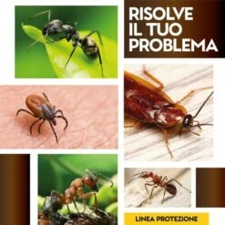 Albakill Insetticida Antiformiche Ambienti Esterni X 500 G Barattolo -Vendite ATMOSPHERA 19604269 4