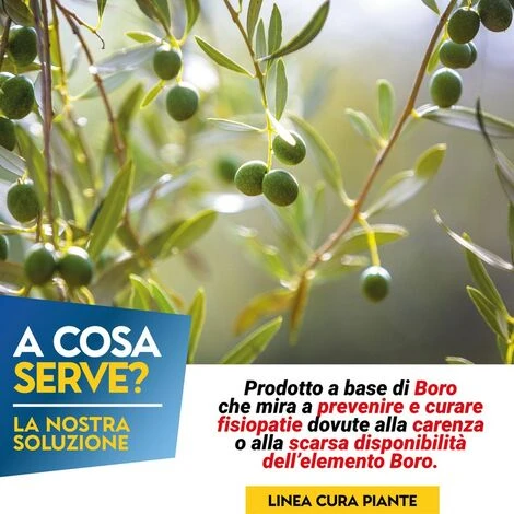 BORO COMPLEX 1 Kg 2 BORO COMPLEX 1 Kg - immagine 2