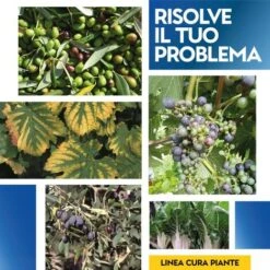 BORO COMPLEX 1 Kg 8 BORO COMPLEX 1 Kg -Vendite ATMOSPHERA 19604342 4