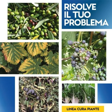 BORO COMPLEX 1 Kg 4 BORO COMPLEX 1 Kg - immagine 4