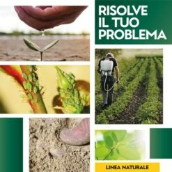 Zeous Zeolite In Polvere X 5 Kg Insetticida Fungicida Acaricida -Vendite ATMOSPHERA 19604432 4