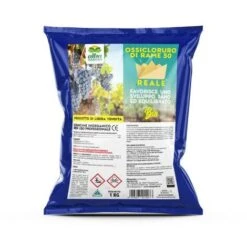 OSSICLORURO DI RAME REALE 50 - 1 Kg