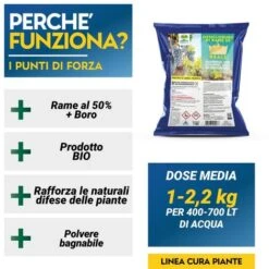 OSSICLORURO DI RAME REALE 50 - 1 Kg -Vendite ATMOSPHERA 19604645 3