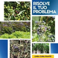 OSSICLORURO DI RAME REALE 50 - 1 Kg -Vendite ATMOSPHERA 19604645 4