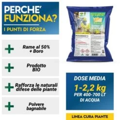OSSICLORURO DI RAME REALE 50 - 5 Kg -Vendite ATMOSPHERA 19622649 3