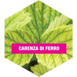 Concime BIO Alt Microcarenze Flortis 100 Gr 5 Concime BIO Alt Microcarenze Flortis 100 Gr -Vendite ATMOSPHERA 20106589 3
