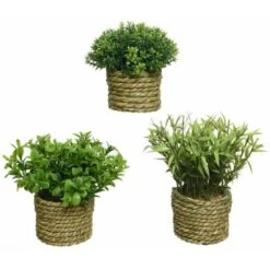 Pianta Verde Artificiale In Vaso 16 Cm -Vendite ATMOSPHERA 21490879 3