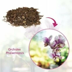 Cifo TORFY ORCHIDEE Terra Terriccio Substrato 3 LT -Vendite ATMOSPHERA 24354479 4