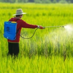 Pompa Irroratrice Spalleggiata 16 Litri Con Batteria A Peso 5Kg Irroratore -Vendite ATMOSPHERA 27577022 3