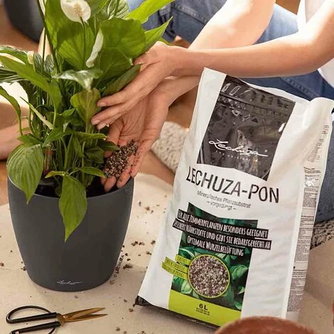 Granulato Lechuza PON 3 Litri 1 Granulato Lechuza PON 3 Litri