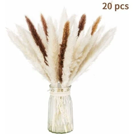 Set Di Erba Di Pampa Essiccata Naturale Per La Decorazione Domestica 20 Pezzi (bianco + Marrone) 1 Set Di Erba Di Pampa Essiccata Naturale Per La Decorazione Domestica 20 Pezzi (bianco + Marrone)