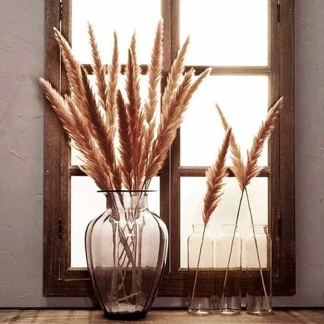 Set Di Erba Di Pampa Essiccata Naturale Per La Decorazione Domestica 20 Pezzi (bianco + Marrone) 2 Set Di Erba Di Pampa Essiccata Naturale Per La Decorazione Domestica 20 Pezzi (bianco + Marrone) - immagine 2