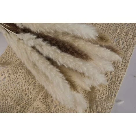 Set Di Erba Di Pampa Essiccata Naturale Per La Decorazione Domestica 20 Pezzi (bianco + Marrone) 3 Set Di Erba Di Pampa Essiccata Naturale Per La Decorazione Domestica 20 Pezzi (bianco + Marrone) - immagine 3
