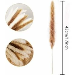 Set Di Erba Di Pampa Essiccata Naturale Per La Decorazione Domestica 20 Pezzi (bianco + Marrone) 9 Set Di Erba Di Pampa Essiccata Naturale Per La Decorazione Domestica 20 Pezzi (bianco + Marrone) -Vendite ATMOSPHERA 29765791 5