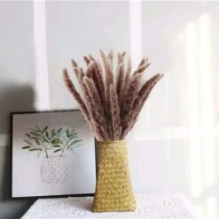 LangRay Pampas Grass 30 Pz Essiccato Pampas Herbs Fiori Secchi Naturali Phragmites Communis Bouquet Fiori Artificiali Per Fai Da Te Cucina Domestica Tavolo Da Matrimonio Composizioni Floreali Vaso Dec -Vendite ATMOSPHERA 29765837 3