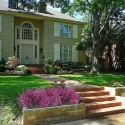 4pcs Gypsophila Artificiale 7 Rami Fiori Artificiali Arbusto Artificiale Cespuglio Fiori Finti Decorazione Viola Per Matrimonio Casa Giardino 8 4pcs Gypsophila Artificiale 7 Rami Fiori Artificiali Arbusto Artificiale Cespuglio Fiori Finti Decorazione Viola Per Matrimonio Casa Giardino -Vendite ATMOSPHERA 29766122 4