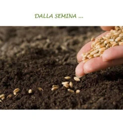 Concime Liquido Con Azoto Fosforo Potassio Fertilizzante Per Giardino E Orto Di Casa -Vendite ATMOSPHERA 30677149 3