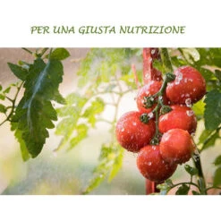 Concime Liquido Con Azoto Fosforo Potassio Fertilizzante Per Giardino E Orto Di Casa -Vendite ATMOSPHERA 30677149 4