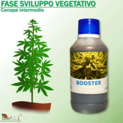Bio A.L.T Concime,Canapa Coltivazione Indoor, Fertilizzante, Stimola La Crescita E La Maturazione Dei Fiori Della Cannabis Trio 7 Bio A.L.T Concime,Canapa Coltivazione Indoor, Fertilizzante, Stimola La Crescita E La Maturazione Dei Fiori Della Cannabis Trio -Vendite ATMOSPHERA 30677627 3
