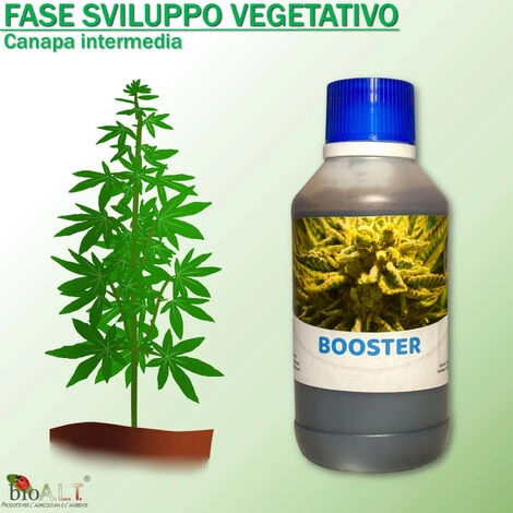 Bio A.L.T Concime,Canapa Coltivazione Indoor, Fertilizzante, Stimola La Crescita E La Maturazione Dei Fiori Della Cannabis Trio 3 Bio A.L.T Concime,Canapa Coltivazione Indoor, Fertilizzante, Stimola La Crescita E La Maturazione Dei Fiori Della Cannabis Trio - immagine 3