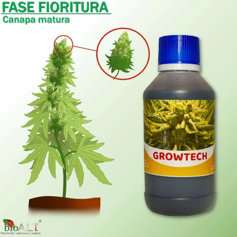 Bio A.L.T Concime,Canapa Coltivazione Indoor, Fertilizzante, Stimola La Crescita E La Maturazione Dei Fiori Della Cannabis Trio 4 Bio A.L.T Concime,Canapa Coltivazione Indoor, Fertilizzante, Stimola La Crescita E La Maturazione Dei Fiori Della Cannabis Trio - immagine 4