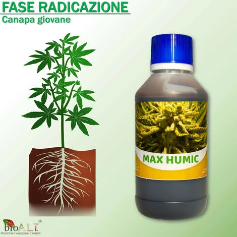 Bio A.L.T Concime,Canapa Coltivazione Indoor, Fertilizzante, Stimola La Crescita E La Maturazione Dei Fiori Della Cannabis Trio 5 Bio A.L.T Concime,Canapa Coltivazione Indoor, Fertilizzante, Stimola La Crescita E La Maturazione Dei Fiori Della Cannabis Trio - immagine 5