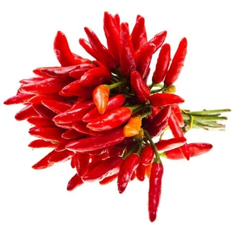 Terriccio Completo Universale Vigorplant 20 Lt 2 Terriccio Completo Universale Vigorplant 20 Lt - immagine 2