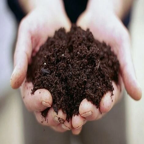 Terriccio Completo Universale Vigorplant 20 Lt 4 Terriccio Completo Universale Vigorplant 20 Lt - immagine 4