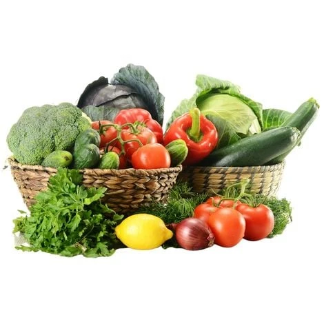 Terriccio Completo Universale Vigorplant 20 Lt 5 Terriccio Completo Universale Vigorplant 20 Lt - immagine 5