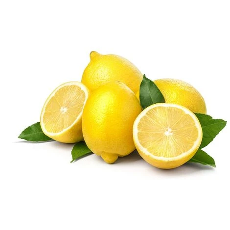 PIANTA Albero LIMONE LUNARIO 4 STAGIONI VASO18CM Agrumi Sicilia H130cm FOTO REAL 1 PIANTA Albero LIMONE LUNARIO 4 STAGIONI VASO18CM Agrumi Sicilia H130cm FOTO REAL