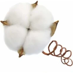 Ramo Di Cotone Stelo Naturale Fattoria Fiori Secchi Rami Di Cotone Pianta Di Cotone Fiori Secchi Artificiali (20 Pezzi) 7 Ramo Di Cotone Stelo Naturale Fattoria Fiori Secchi Rami Di Cotone Pianta Di Cotone Fiori Secchi Artificiali (20 Pezzi) -Vendite ATMOSPHERA 31782315 3