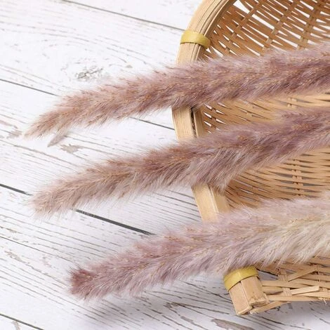 SOEKAVIA 30 Pezzi Erba Di Pampa, Bouquet Di Fiori Secchi Di Pampa Naturale Da 45 Cm Per Vasi, Decorazione Boho Camera Da Letto Soggiorno Casa, Decorazione Da Tavola Fotografia Di Matrimonio 4 SOEKAVIA 30 Pezzi Erba Di Pampa, Bouquet Di Fiori Secchi Di Pampa Naturale Da 45 Cm Per Vasi, Decorazione Boho Camera Da Letto Soggiorno Casa, Decorazione Da Tavola Fotografia Di Matrimonio - immagine 4