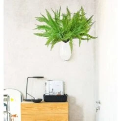 SOEKAVIA 3 Pezzi Arbusti Di Piante Di Felce Di Boston Artificiale Cespugli Verdi Per Interni Esterni Giardino Di Casa Ufficio Portico Decorazioni Per Matrimoni -Vendite ATMOSPHERA 35821457 4