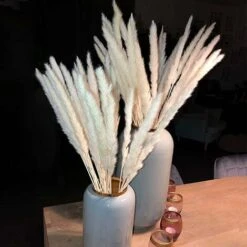 SOEKAVIA 30 Pezzi Di Piccola Erba Di Pampa Essiccata Naturale, Phragmites Communis, Bouquet Da Sposa E Fotografico Per L'arredamento Della Casa (bianco, 30 Pezzi) 8 SOEKAVIA 30 Pezzi Di Piccola Erba Di Pampa Essiccata Naturale, Phragmites Communis, Bouquet Da Sposa E Fotografico Per L'arredamento Della Casa (bianco, 30 Pezzi) -Vendite ATMOSPHERA 36248090 4