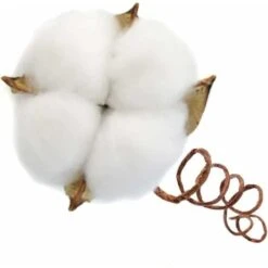 SOEKAVIA Ramo Di Cotone Tronco Naturale Fattoria Fiori Secchi Rami Di Cotone Pianta Di Cotone Fiori Secchi Artificiali (20 Pezzi) 7 SOEKAVIA Ramo Di Cotone Tronco Naturale Fattoria Fiori Secchi Rami Di Cotone Pianta Di Cotone Fiori Secchi Artificiali (20 Pezzi) -Vendite ATMOSPHERA 36248116 3