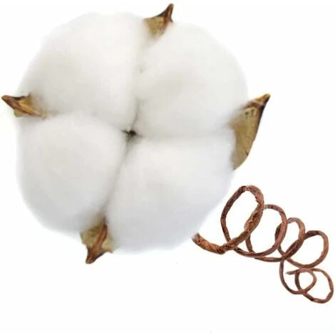 SOEKAVIA Ramo Di Cotone Tronco Naturale Fattoria Fiori Secchi Rami Di Cotone Pianta Di Cotone Fiori Secchi Artificiali (20 Pezzi) 3 SOEKAVIA Ramo Di Cotone Tronco Naturale Fattoria Fiori Secchi Rami Di Cotone Pianta Di Cotone Fiori Secchi Artificiali (20 Pezzi) - immagine 3