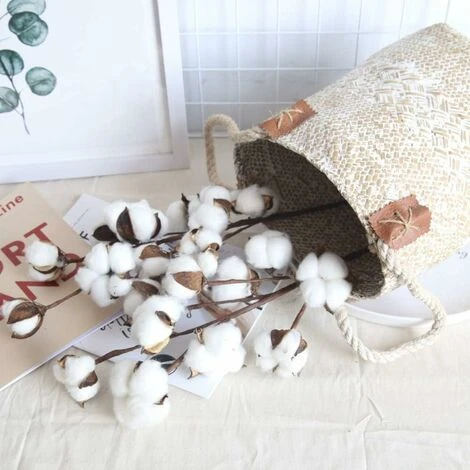 SOEKAVIA 4 Cotton Fioc Bianco Naturale, 10 Cotton Fioc Per Cotton Fioc, 53,3 Cm, Piccozze Di Fiori, Stile Country, Decorazione. 3 SOEKAVIA 4 Cotton Fioc Bianco Naturale, 10 Cotton Fioc Per Cotton Fioc, 53,3 Cm, Piccozze Di Fiori, Stile Country, Decorazione. - immagine 3